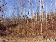1st image of 5338 Bryant Hill Rd #17
