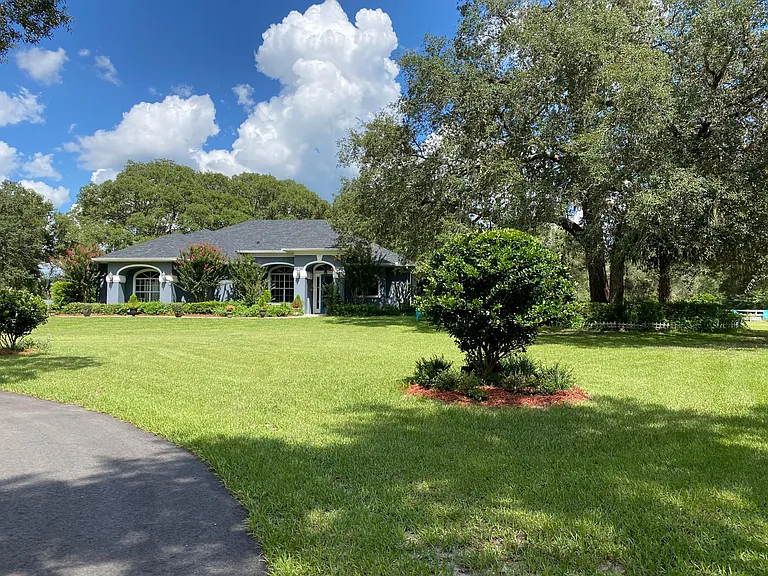 This is the front yard with beautiful Ligustrum trees. Plumbago flowers are all around the house and property.