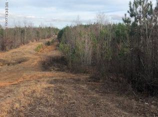 1803 Frank Evans Rd, Jasper, AL 35501