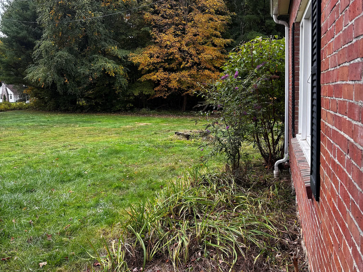 3 bed, 2.5 bath, 1700 sqft, $3,000 — Photo 2