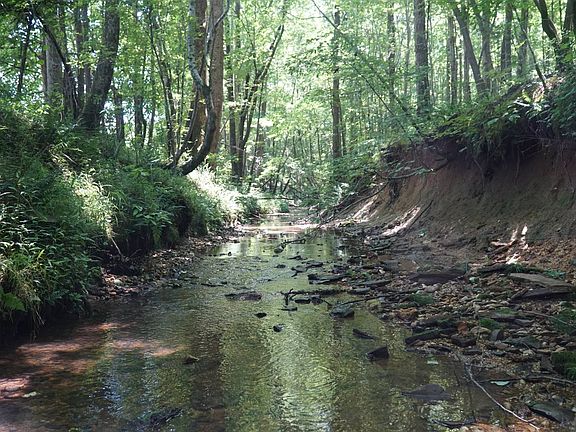 2nd image of 0 Happy Hollow Rd