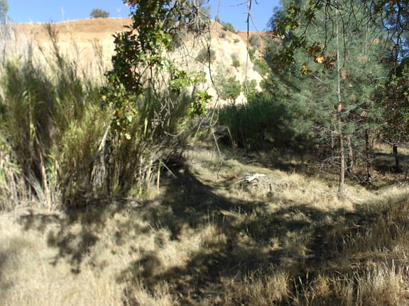 4th image of 17160 Elder Creek Cir