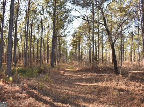 0 Bancroft Rd, Blakely, GA 39823