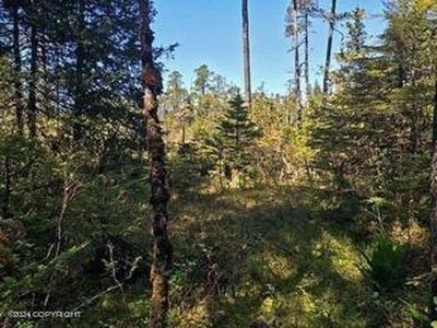 0 Timber Ave, Wrangell, AK, 99929