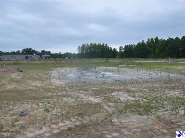 26 Egrets Point, Hartsville, SC 29550