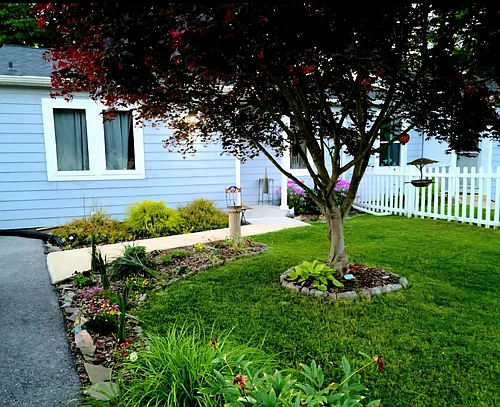 274 Ternwing Dr Photo 1
