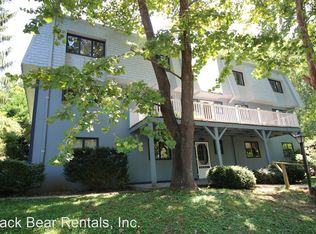 28 Reese St, Asheville, NC 28804