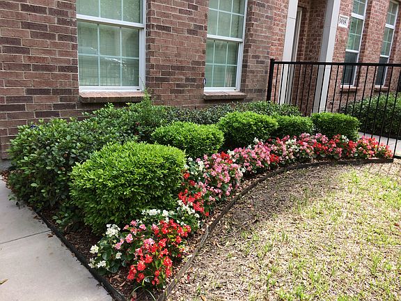 Fenced Yard