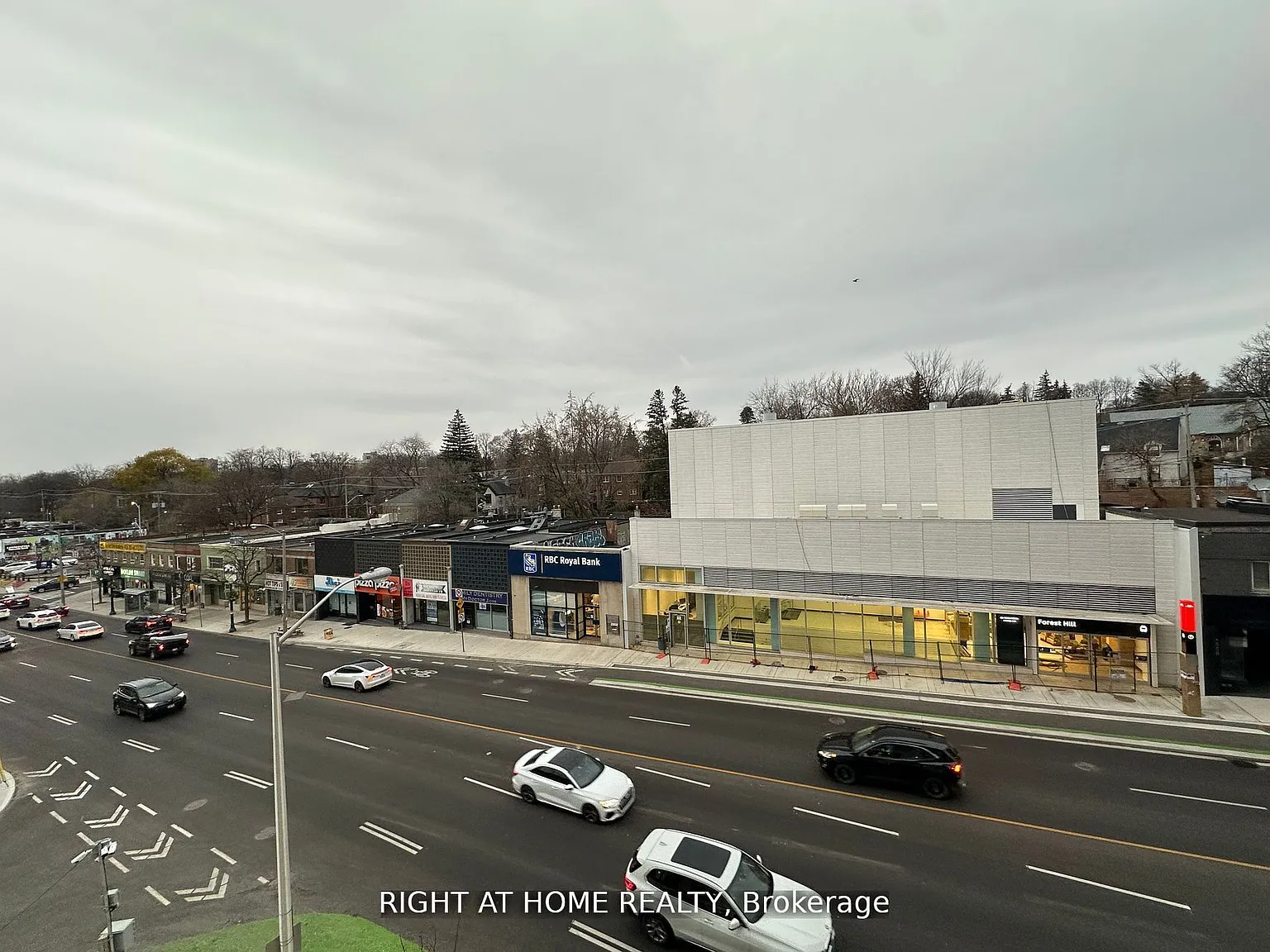 Forest Hill — Photo 4