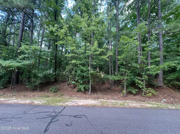 307 Thimbleberry Dr #91, Vass, NC 28394