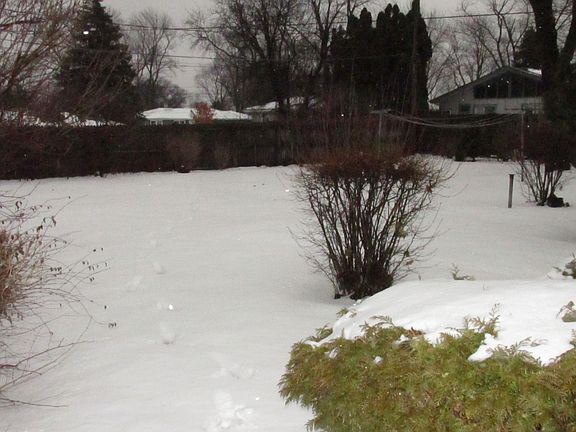 5th image of 159 Bunker Hill Ave