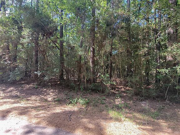 5th image of 200 Cotten Ln
