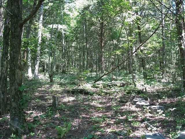 2nd image of 0 Cordell Hull Ln Lot 26