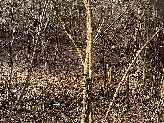 5th image of Sugarwood Dr