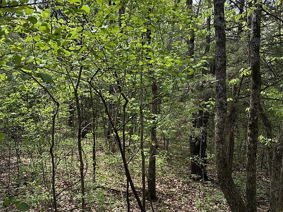 5th image of 10 County Road 83