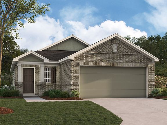 Hibiscus D Elevation