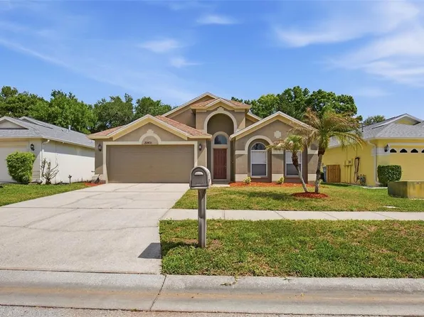 22611 Roderick Dr, Land O Lakes, FL 34639