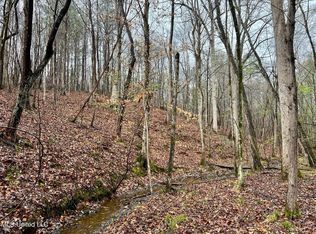 12 Highway, Ackerman, MS 39735