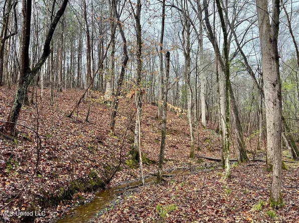 12 Highway, Ackerman, MS 39735