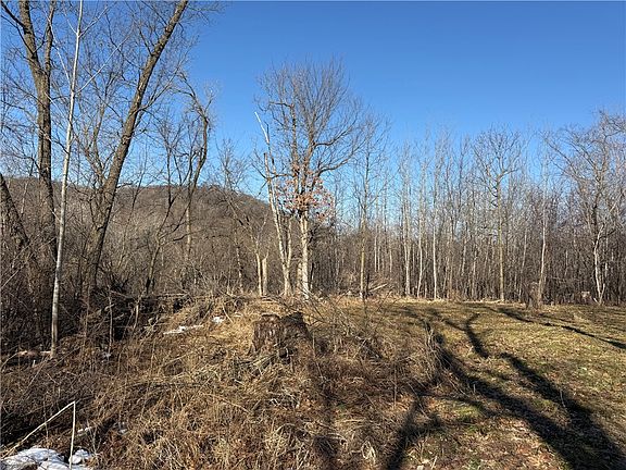 2nd image of XXX County Rd D