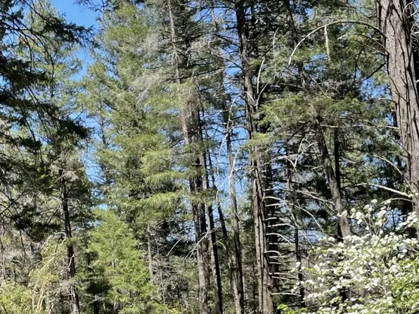 3351 Fs Rd #34N07Y, Helena, CA 96048