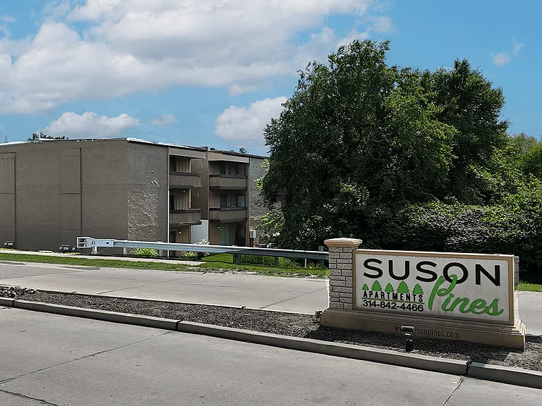 Suson Pines — Photo 33