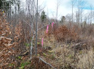 LOT 10 Moose Rd, Springfield, ME 04487