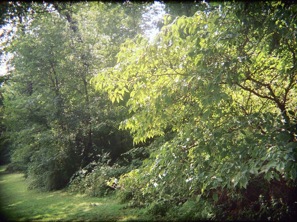 Side view of some of property