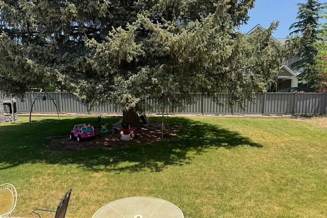 4 bed, 2100 sqft, $2,600 — Photo 4