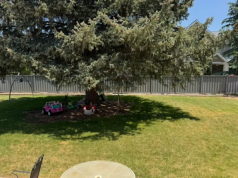 3113 S Gregson Ct #3113 — Photo 4