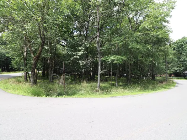 Long Brooke & Woodland Rd, Penn Forest Township, PA 18210