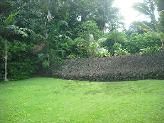 4th image of Kii Nani St Lot 2