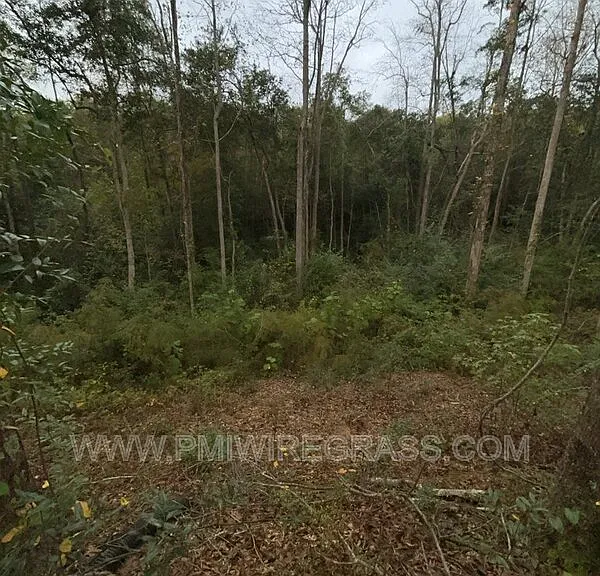 214 Brookside Ln — Photo 22