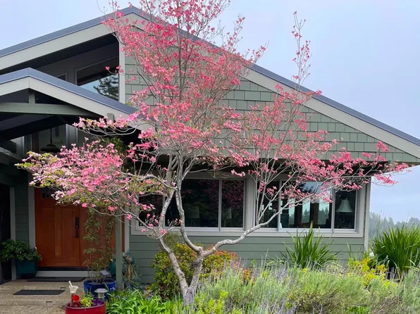 1584 Tindall Ranch Rd, Watsonville, CA 95076