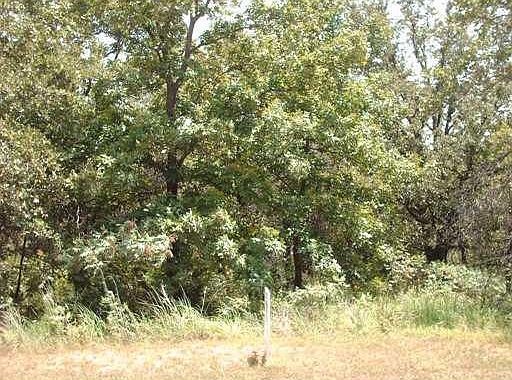 5th image of 2 Timber Lake Dr Lot 2