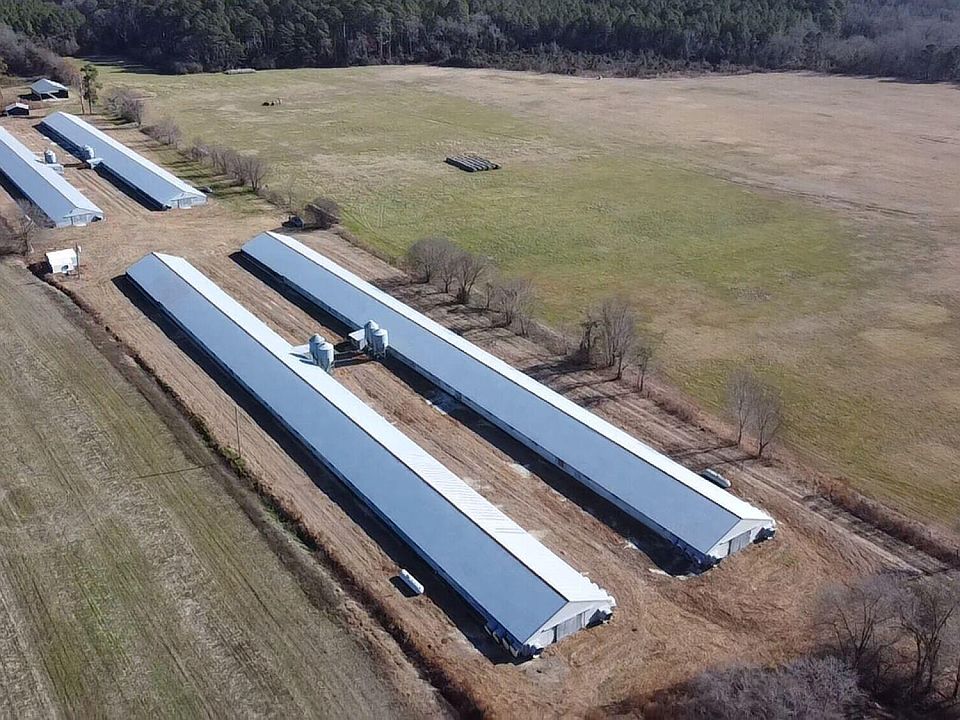 1st image of 16681 Lauch Blue Road