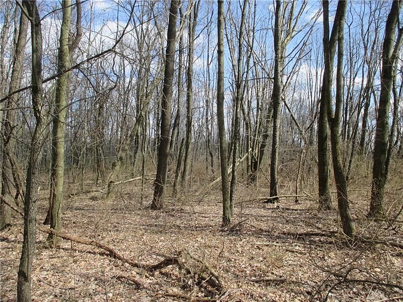 2nd image of Locust Ln