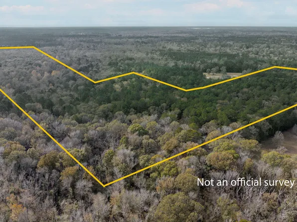 W Hawthorne Rd, Leesville, LA 71446