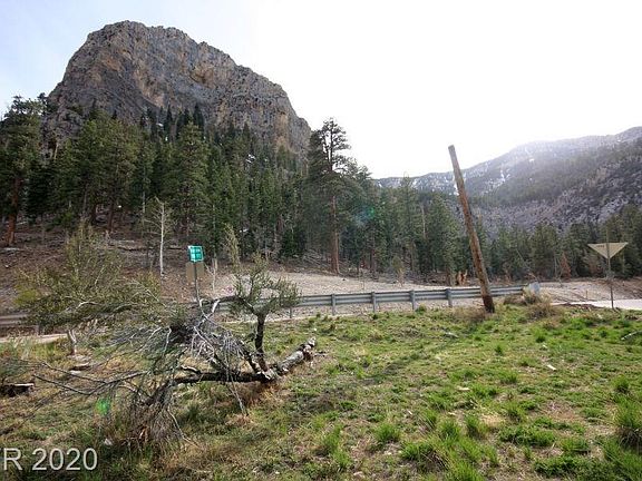 5th image of 4841 Knotty Pine Way