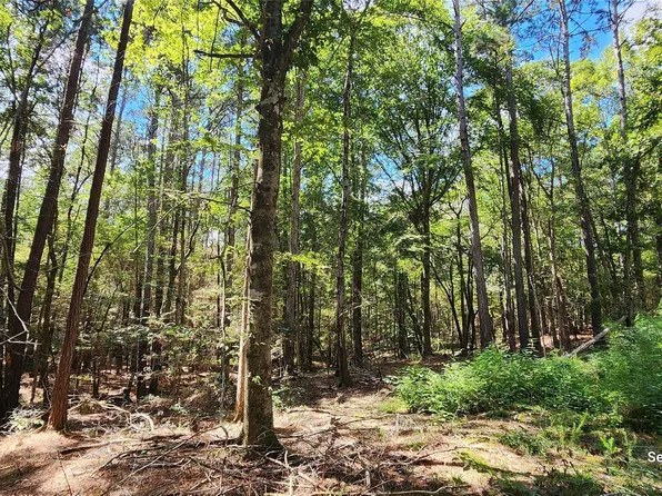 County Road 405 Lot 2, San Augustine, TX 75972