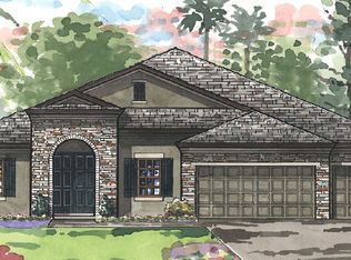 8696 Birchleaf Ct, Land O Lakes, FL 34637