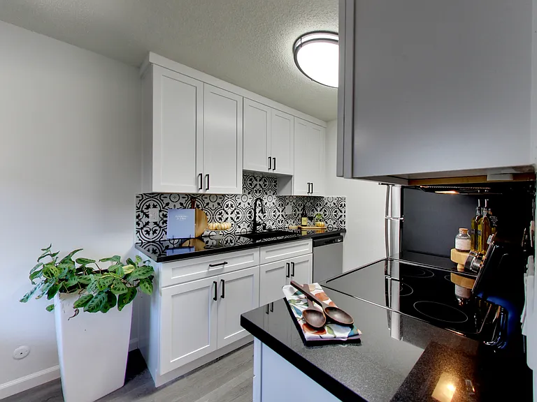 PARKSIDE APARTMENTS — Photo 3