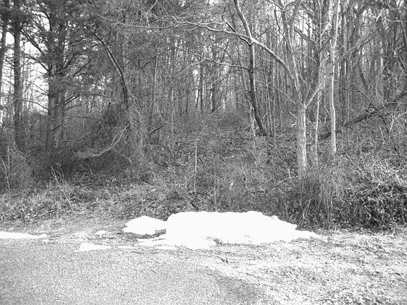 2nd image of Deer Ave