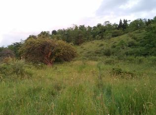 Eston Carr Rd, Maysville, WV 26833