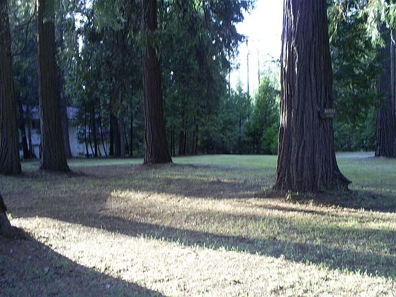 4th image of 14415 Bevers Way