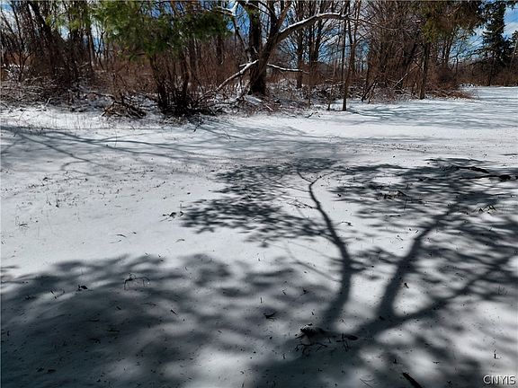 3rd image of 8114 Salt Springs Rd
