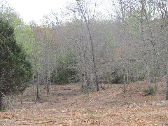 3rd image of 20 Bettis Rd