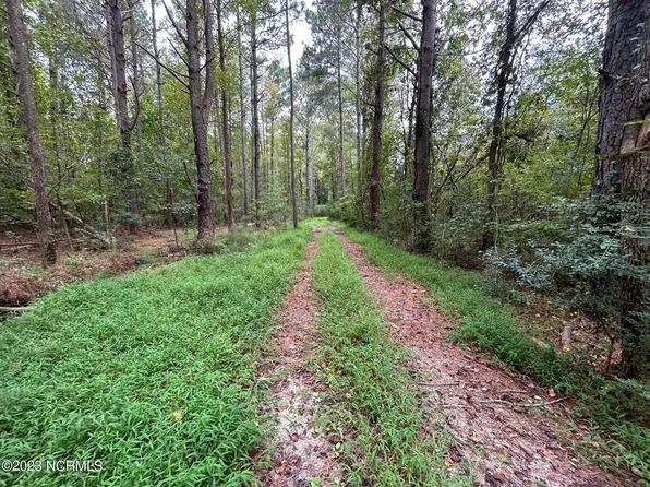 0 Red Tip Lane, Willard, NC 28478