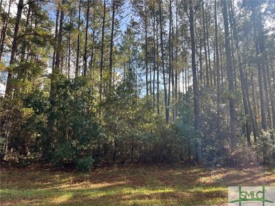 5500 Pearl Court, Ellabell, GA, 31308