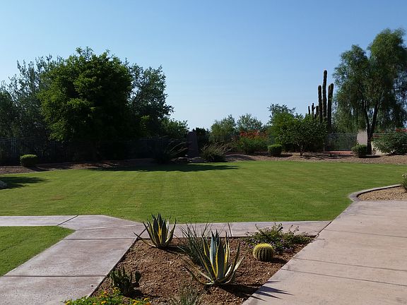 Spacious yard